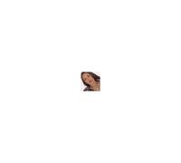 Picture Of My Life