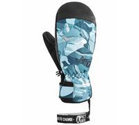 Picture Organic Clothing - Moufles de ski - Caldwell Mitts Peppup Print pour Homme - Taille 11 - Bleu Bleu 11