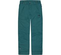 Picture Organic Clothing - Pantalon de ski imper-respirant - Time Pants Deep Water - Taille Enfant 158-164 cm - Vert Vert 158-164 cm