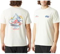 Picture Organic Clothing - T-shirt en coton biologique - D&S Switzerland Tee Natural White pour Homme en Coton - Taille L - Blanc Blanc L