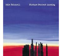 Picture Perfect Morning by Edie Brickell (1994-08-16)