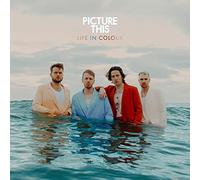 Picture This - Life in Colour [Import]