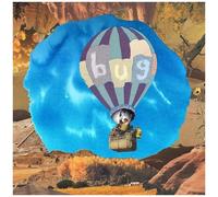 Pictures of Vernon – Bug – Vinyle 12"