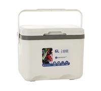 Picysa Boîte de Livraison de Nourriture Isolée de 6l, épaisse pour Le Stockage des Aliments Chauds et Froids, Idéale pour Le Camping, la Randonnée et Les Voyages, Matériau PP Durable (Blanc)