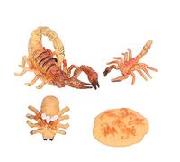 Picysa Ensemble de Jouets de Scorpion du Cycle de Vie, Figurines éducatives pour Enfants avec Ensemble de Cycle de Vie du Scorpion, Modèles Visuels pour Les Cours de Nature. (de Croissance du