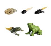 Picysa Figurines d'action en PVC, Modèle Animal de Simulation, Jouet de Poupée pour Enfants, Plaisir éducatif et Cycle de Croissance, Parfait pour Les Activités de Narration et de Jeu de Rôle (Vert1)
