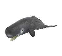 Picysa Jouet de caverne, modèle d'animaux marins, modèle scientifique de cavale, simulation - Modèle d'apprentissage des animaux de l'océan pour plus de 3 ans