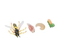 Picysa Modèle de Cycle de Croissance de Guêpe, Figurines d'animaux D'insectes Vifs pour L'éducation Précoce et la Décoration, Jouets de Collection en Plastique