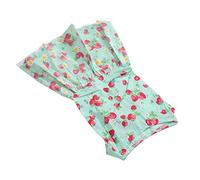 Picysa Robe pour Chien, Motif Floral Mignon, Confortable, pour Chiots de Petite et Moyenne Taille, Chats, Vert Clair, Adaptée à Un Usage Quotidien (L)