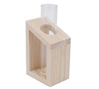 Picysa Vase en Verre de Réactif D'hydroculture de Bureau avec Support en Bois, Décoration de Jardin de Maison, Récipient pour Plantes