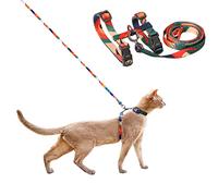 pidan Ensemble Harnais et Laisse pour Chat de Grande Taille, Anti-Fugue - Harnais réglable pour Chaton de Grande Taille et Petit Chat, léger, Doux, pour la Marche, Le Voyage (Multicolore, Taille XL)