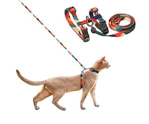 pidan Ensemble Harnais et Laisse pour Chat de Grande Taille, Anti-Fugue - Harnais réglable pour Chaton de Grande Taille et Petit Chat, léger, Doux, pour la Marche, Le Voyage (Multicolore, Taille XL)