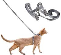 pidan Ensemble Harnais et Laisse pour Chat, Harnais réglable Anti-Fugue pour Chaton de Grande et Petite Taille, léger, Doux, pour la Marche, Les Voyages, Gris, Tour de Cou de 19 cm, 31 cm, Tour de