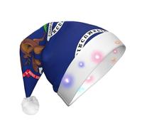 Pidgazdfgv Chapeaux de Noël à drapeaux du Michigan State pour adultes, décorations de Noël amusantes en verre, fête du Père Noël, arbre de Noël, maison