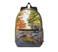 Pidgazdfgv Sac à dos pour ordinateur portable 17 pouces Motif écureuil mignon 17" Approuvé pour l'école, les affaires, les vols, les w nds, les femmes et