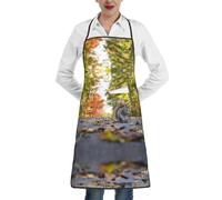 Pidgazdfgv Tablier de cuisine réglable en forme d'écureuil mignon avec grande poche résistant aux gouttes d'eau Tablier de cuisine pour homme et femme
