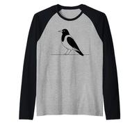 Pie-bavard Linéaire Ornithologue Manche Raglan