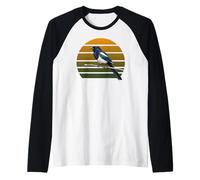 Pie Bavarde Biologiste Ornithologue Nature Oiseau Manche Raglan