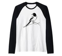 Pie-bavarde Linéaire Ornithologue Manche Raglan
