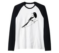 Pie-bavarde Linéaire Ornithologue Manche Raglan