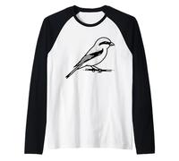Pie-grièche Écorchée Dessin au Trait Ornithologue Manche Raglan