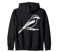 Pie-grièche Écorchée Dessin au Trait Ornithologue Sweat à Capuche