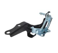 Pièce de capot moteur BLIC 6802-00-8115451P