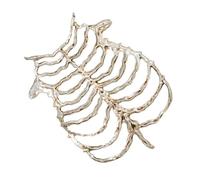 Pièce de costume de poitrine squelette portable avec | Forme moulée des côtes et du sternum, accent dimensionnel du costume, look de fête d ' Halloween et de scène
