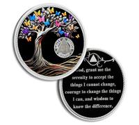 Pièce de monnaie de sobriété de 27 ans - Papillon - Arbre de vie - Puces AA et médaillons - Jeton de sobriété - Cadeau de sobriété pour homme et femme célébrant la récupération des alcooliques