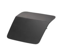 Pièce de pare-chocs BLIC 5513-00-0096915P