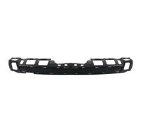 Grille de ventilation, pare-chocs BLIC 5703-05-3553980P