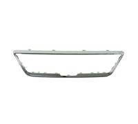 BLIC 6502-07-6623911P Cadre, grille de radiateur