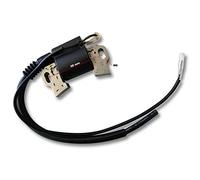 Pièce détachée Bobine d'allumage pour moteur à essence 6,5 CV