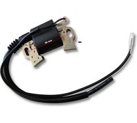 Pièce détachée Bobine d'allumage pour moteur à essence 6,5 CV