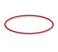 Pièce détachée: SunSun CPF-280 / CPF-380 / CPF-500 Filtre de bassin à pression Joint torique 3