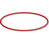 Pièce détachée: SunSun CSF-500 Filtre de bassin à sable Joint torique 1