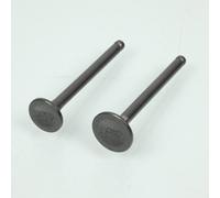 Pièce Moteur Diverse Soupape P2r Pour Scooter Peugeot 50 Kisbee Neuf