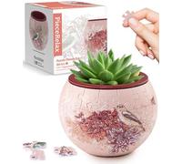 PieceRelax Puzzle 3D Pot de Fleurs Singing Birds and Flowers, pour Petits Pots avec Drainage, décoration pour Cactus et Plantes Grasses d'intérieur [K1100]