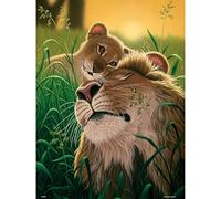 PieceRelax Puzzle en plastique pour adultes de 1000 pièces - Schim Schimmel - L'amour d'un père - 63,5 x 48,9 cm, jeux de table les plus satisfaisants, pas besoin de colle [U1064]