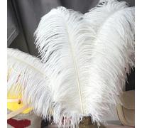 pièces 15-70 cm grandes Plumes d'autruche blanches Plumes d'autruche Carnaval centres de Table fête accessoires de mariage décoration-50-55 cm petit poteau