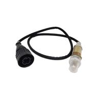 Pièces Automobiles Capteur D'oxygène Automobile Pour BMW E36 E46 E38 E39 840Ci 316i 318i 318is 535i 540i 735i 11781733628 0258003231 0258005324