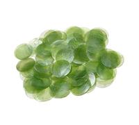 Pièces de Coquillages Ronds | 100 Pièces de Breloques Artisanales DIY,Pendentifs Naturels en Coquillages | pour Amateurs Débutants Adultes Filles Étudiants en Art Artistes Fête Maison Atelier