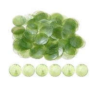 Pièces de Coquillages Ronds | 100 Pièces Pour Création De Pendentifs | Charme De Coquillage Naturel - Pour Débutants Adultes Femmes Filles Étudiants Art Artistes Fête Maison