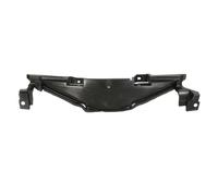 BLIC 6502-08-8156204P Cadre, grille de radiateur