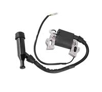 Pièces de générateur de bobine d'allumage High Performance Copper Rapid Boosting Long Service Life Fits pour un générateur d'essence 168F-170F 2KW / 3KW