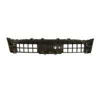 Pièces de grille de radiateur BLIC 6502-07-0035919P
