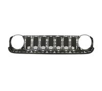 Pièces de grille de radiateur BLIC 6502-07-3216999P