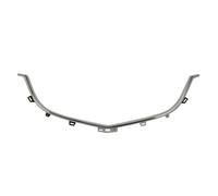 BLIC 6502-07-3495992P Cadre, grille de radiateur