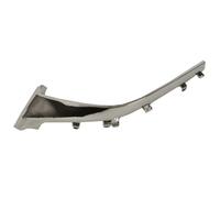 Pièces de grille de radiateur BLIC 6502-07-3499998P