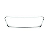 Pièces de grille de radiateur BLIC 6502-07-6735996P